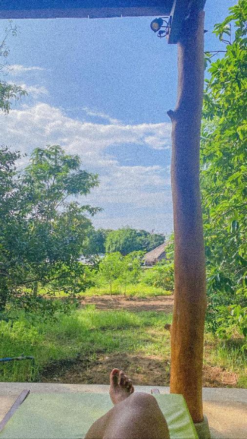 Green Villa Yala Tissamaharama Eksteriør bilde