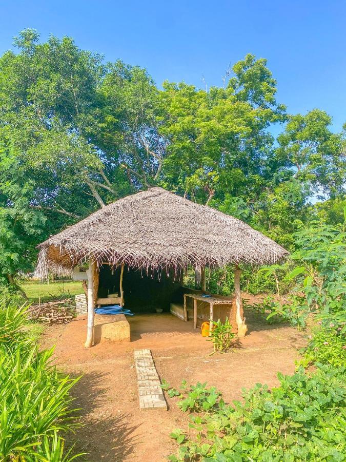 Green Villa Yala Tissamaharama Eksteriør bilde